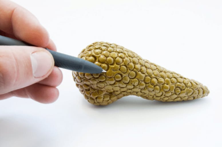 Treatment for cats with pancreatitis